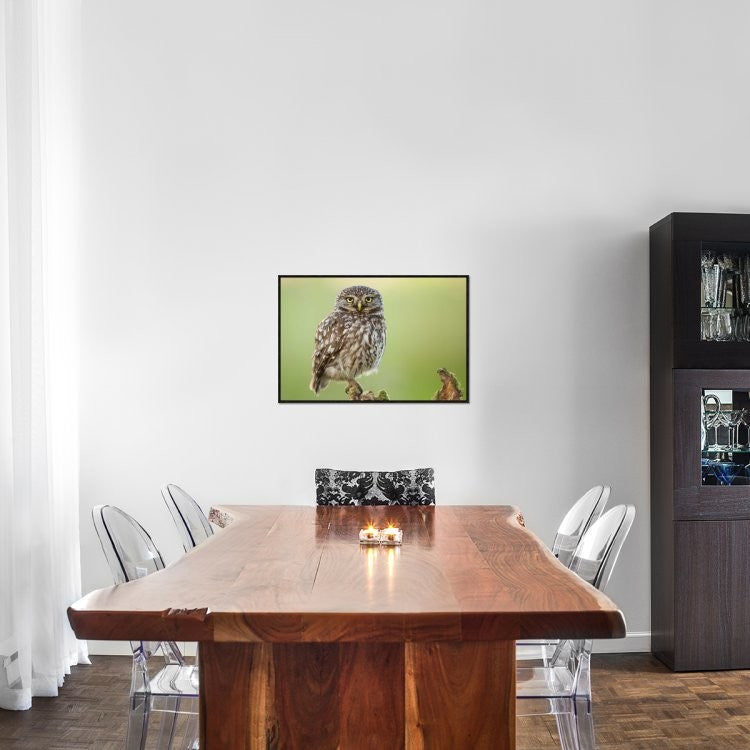"The Watcher" Framed Canvas Giclee by Kenny De Boeck, 31x21"