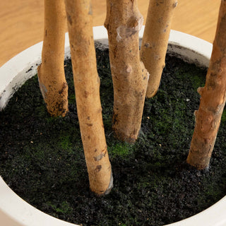Close-up of planter base and soil on white background.