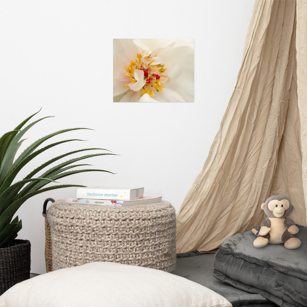 Eye of Peony Nature Photography, Floral Unframed Wall Art Print, 11" X 14"
