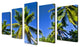 Ready2hangart Chris Doherty 'Niue Palms' 5-piece Canvas Wall Art