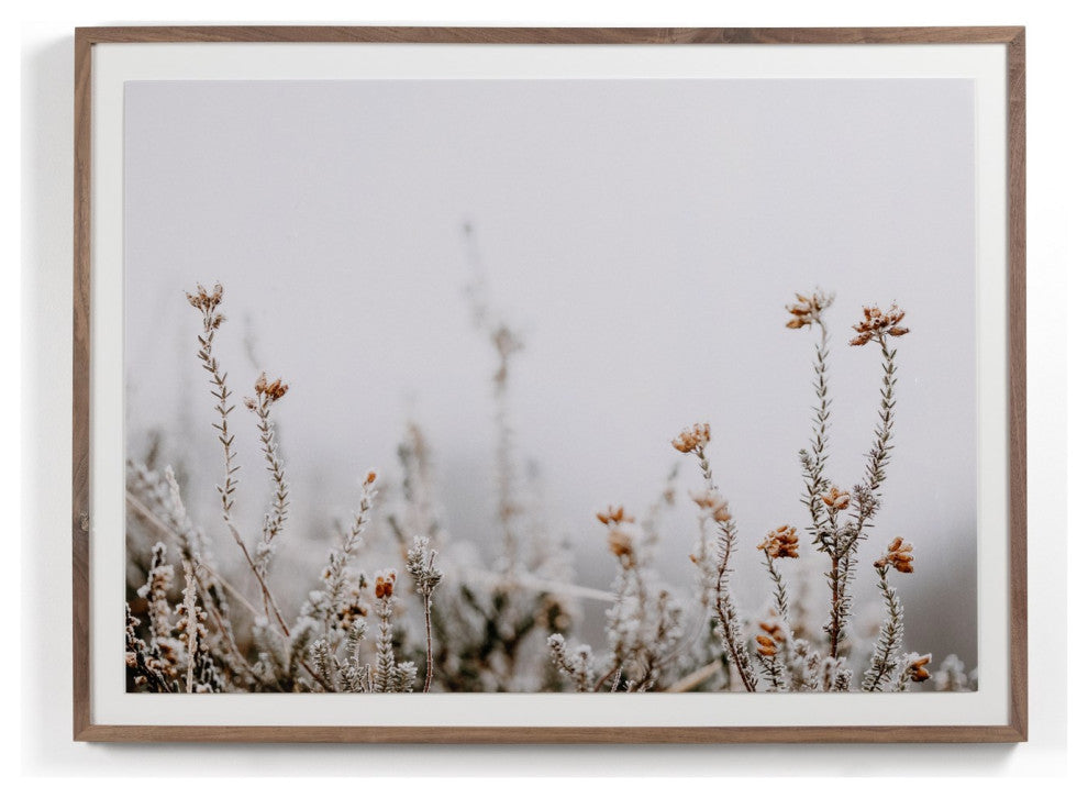 In The Details Ii By Annie Spratt