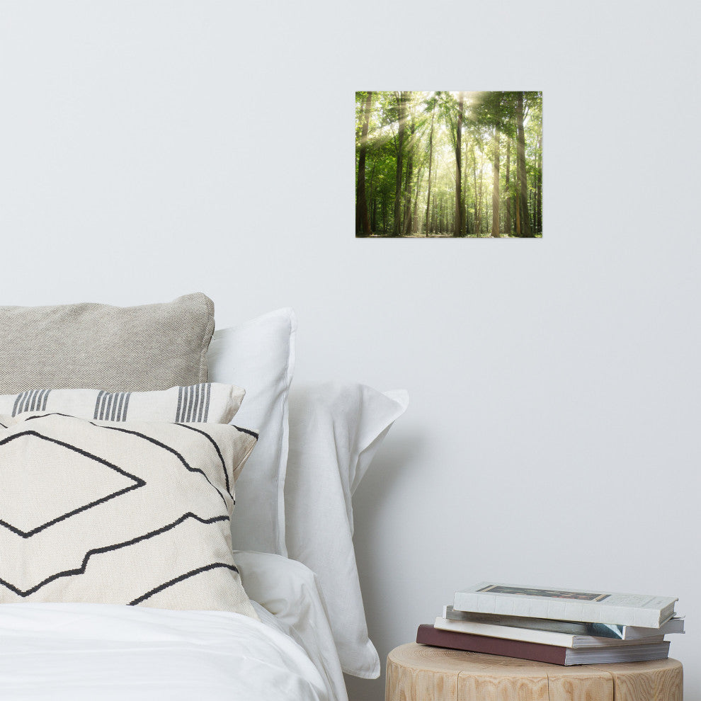 Sun Rays Through Treetops Landscape Photo Unframed Wall Art Print, 11" X 14"