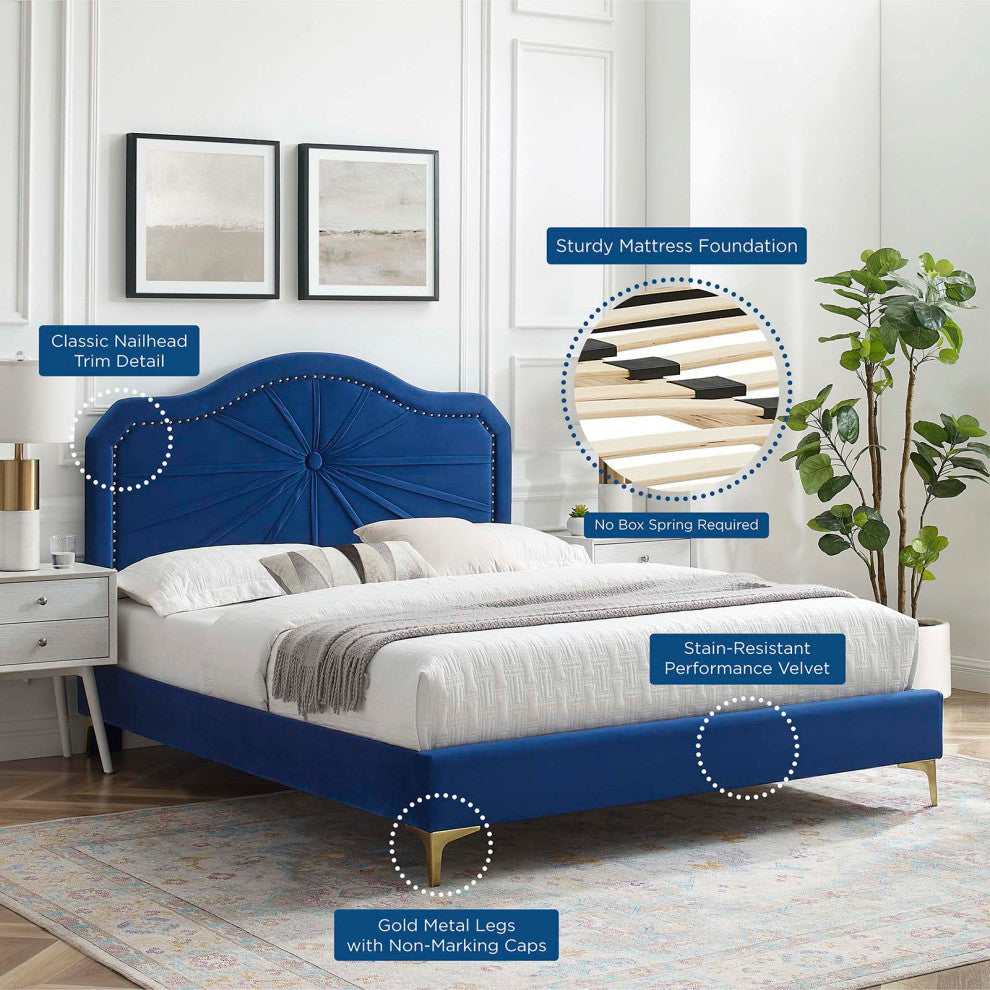 Platform Bed Frame, Queen Size, Velvet, Blue Navy, Modern Contemporary, Bedroom