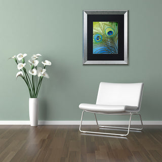 Color Bakery 'Peacock Candy I' Art, Silver Frame, Black Matte, 16"x20"