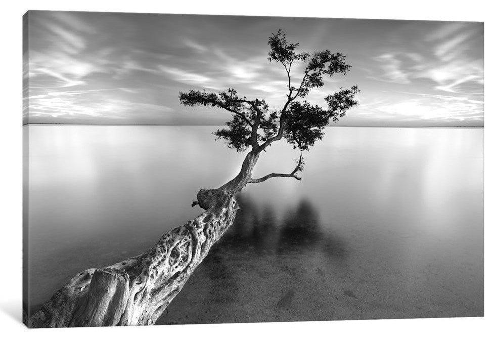 "Water Tree XIII Gallery" by Moises Levy, 40x26x1.5"