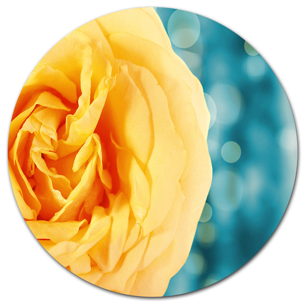 Rose Flower With Lit-Up Background, Floral Disc Metal Wall Art, 23"