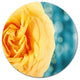 Rose Flower With Lit-Up Background, Floral Disc Metal Wall Art, 23"