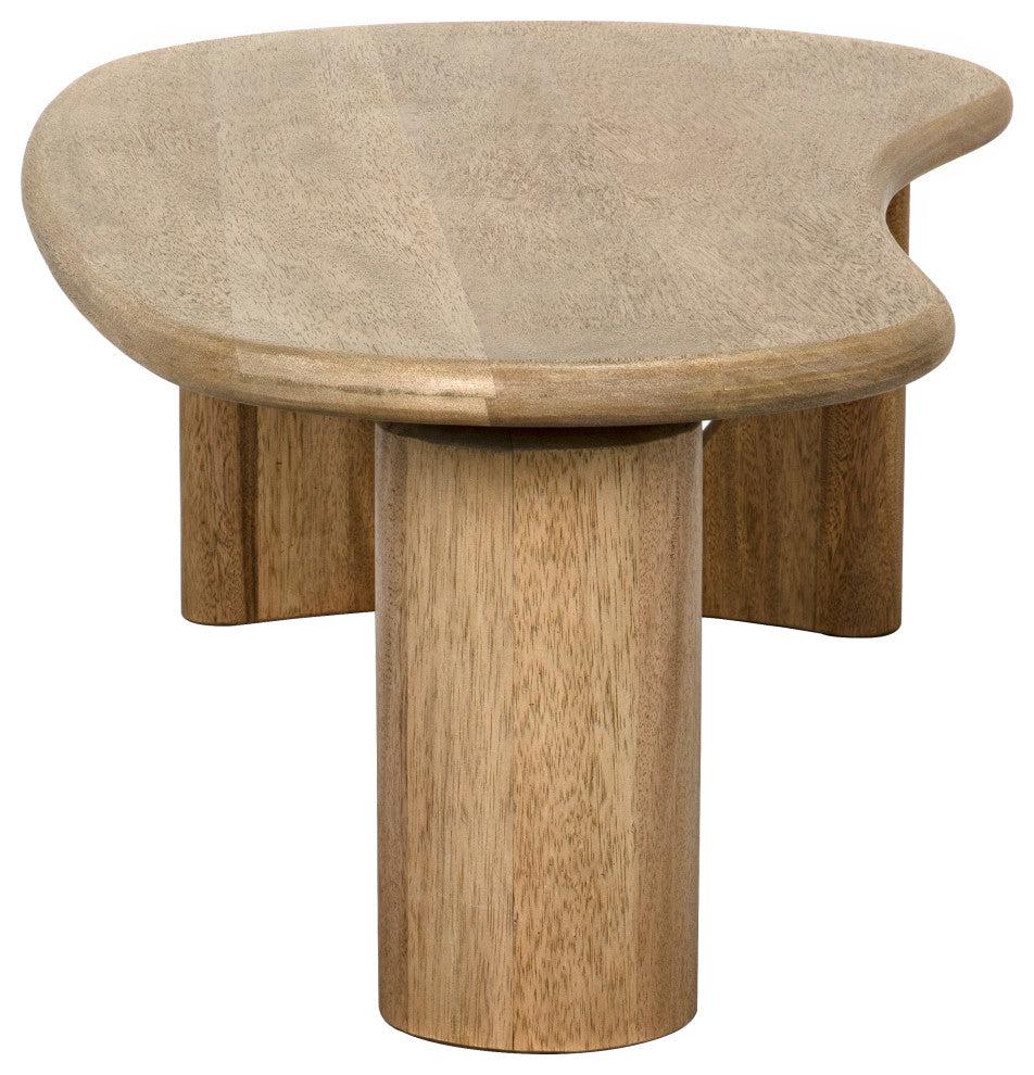 Noir Furniture - Harvey Coffee Table in Washed Walnut - GTAB1124WAW