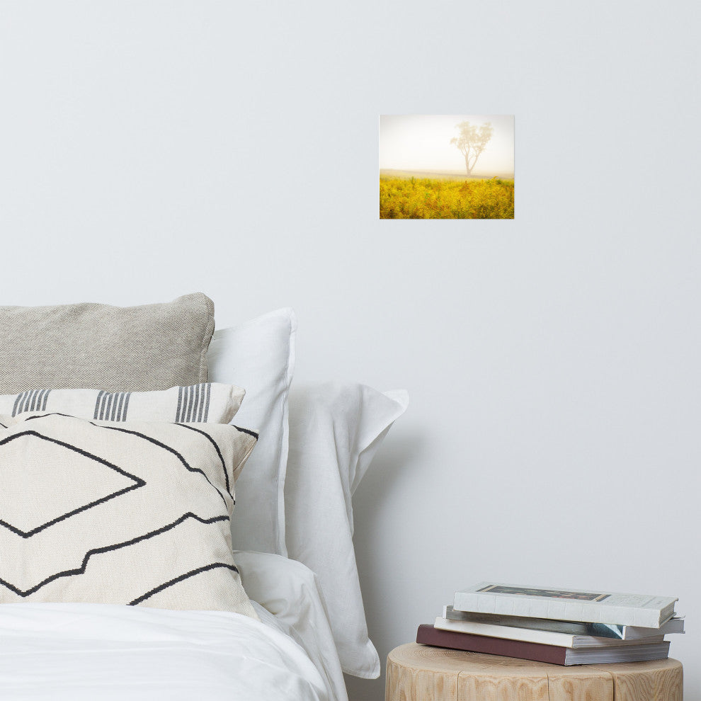 Dreams of Goldenrod and Fog Landscape Photo Unframed Wall Art Print, 8" X 10"