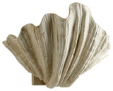 Cyan Design Shelly Wall Sconce, White