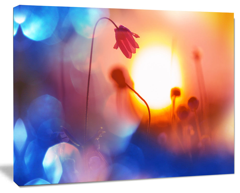 Beautiful Blurred Flowers At Sunset, Floral Canvas Art Print, 60"x28"