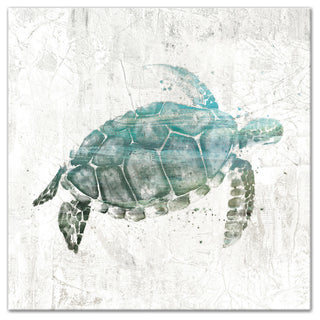 Turquoise Sea Turtle Canvas Wall Art, 24"x24"