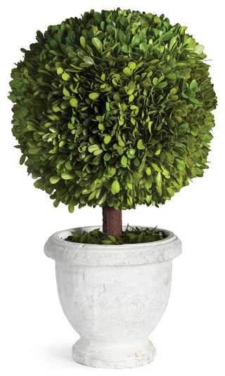 Primary product: isolated, full view of ball-topiary in pot on white background; no text.