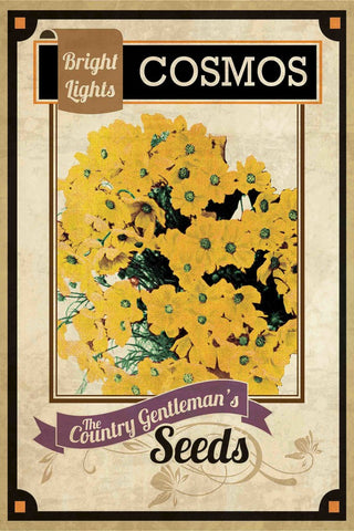 "Flower Packet Cosmos" Painting Print on Canvas