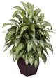 Silver Queen With Decorative Planter Silk Plant