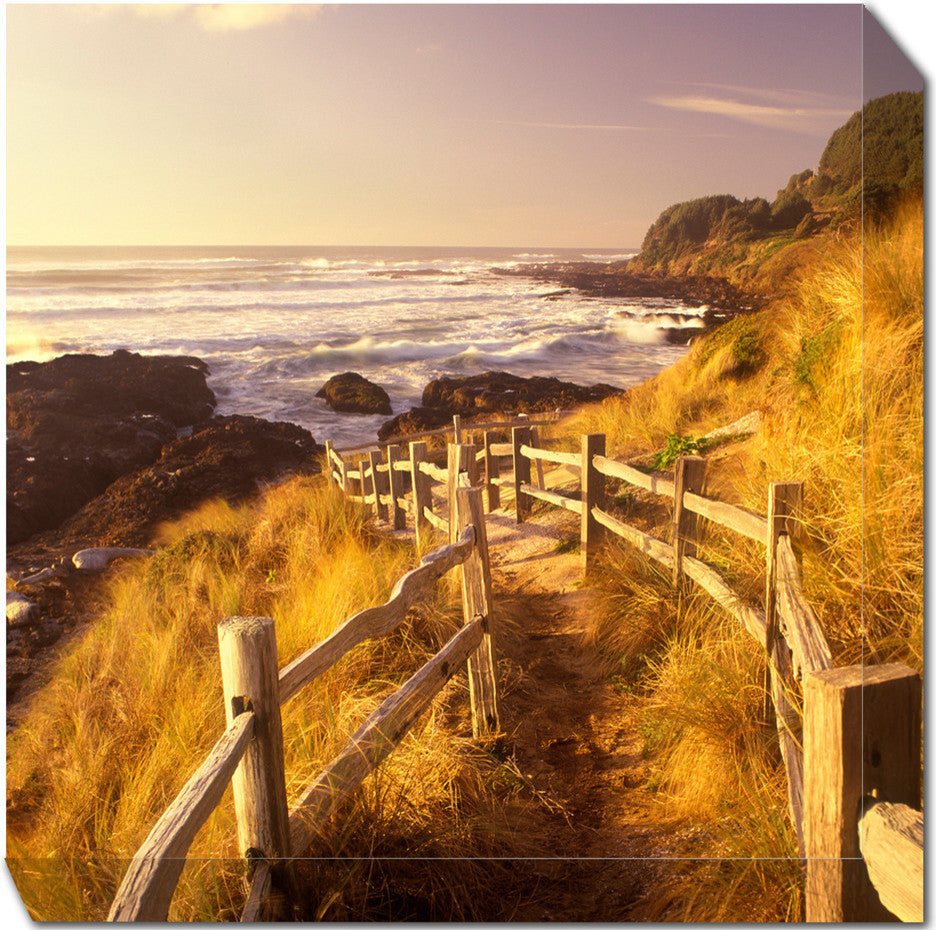 Pathway To Beach Outdoor Art