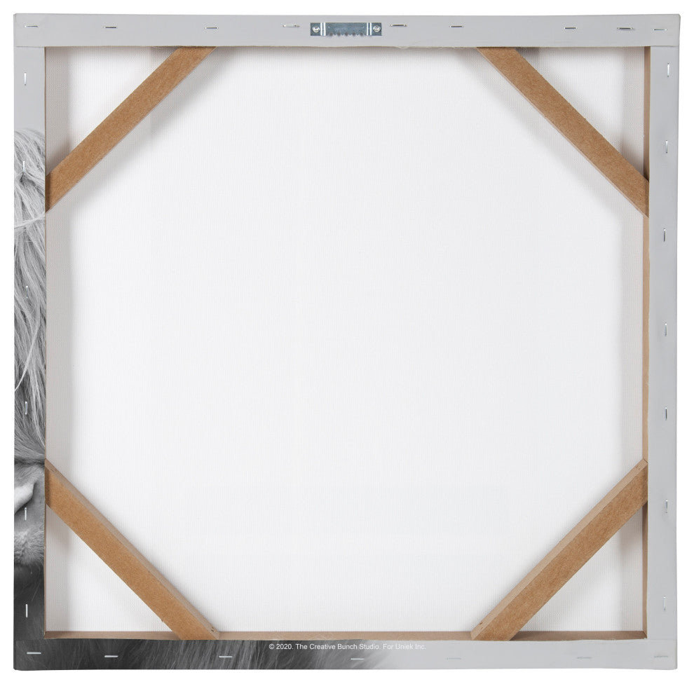 Hey Dude Cow Gray Canvas by The Creative Bunch Studio, Assorted 2 Piece 20x20