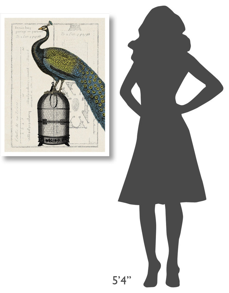 "Peacock Birdcage II" Digital Paper Print by Sue Schlabach, 26"x34"