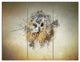 Large Gracing Owl, Animal Canvas Wall Art, 36x28, 3 Panels