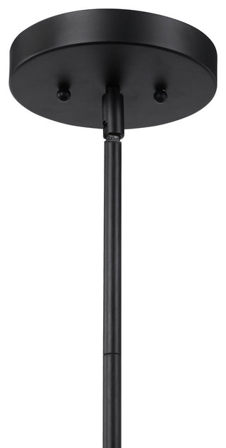Holgate 1 Light Black Pendant
