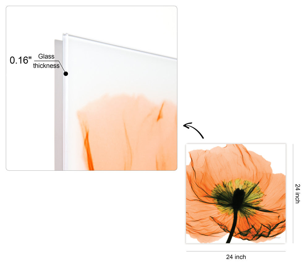 "Poppy Orange" Frameless Free Floating Panel Graphic Wall Art, 24"x24"