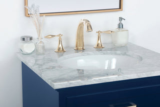 Amber Single Bathroom Vanity, Blue, Blue, 24"