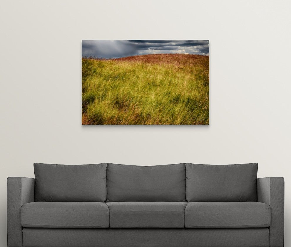 "Grasses On A Stormy Day" Wrapped Canvas Art Print, 48"x32"x1.5"
