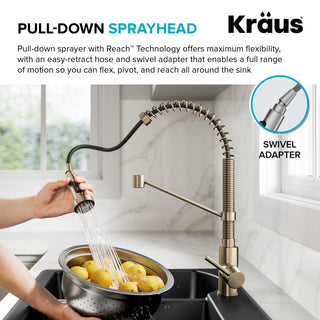 Bolden Commercial Style 2-Function Pull-Down 1-Handle 1-Hole Kitchen Faucet, Spot Free Antique Champagne Bronze