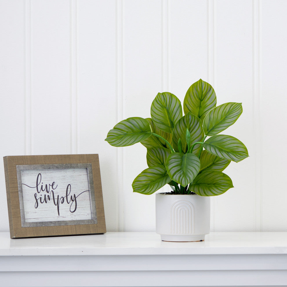 12in. Artificial Calathea Plant with Decorative Planter