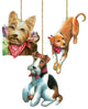 Pets wooden Ornaments Set of 3