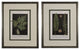 Original Vintage 1925 Botanical Fern Framed Prints, Set of 2