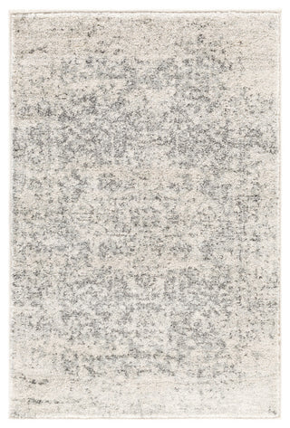 Harput Traditional Black and Light Gray Area Rug, 2'x3'