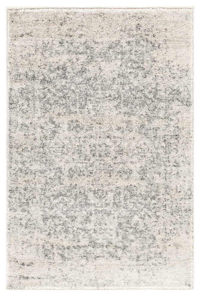 Harput Traditional Black and Light Gray Area Rug, 2'x3'