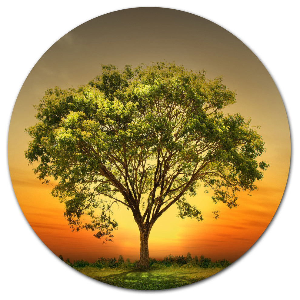 Green Tree Against Setting Sun, Modern Trees Disc Metal Artwork, 36"