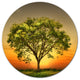 Green Tree Against Setting Sun, Modern Trees Disc Metal Artwork, 36"