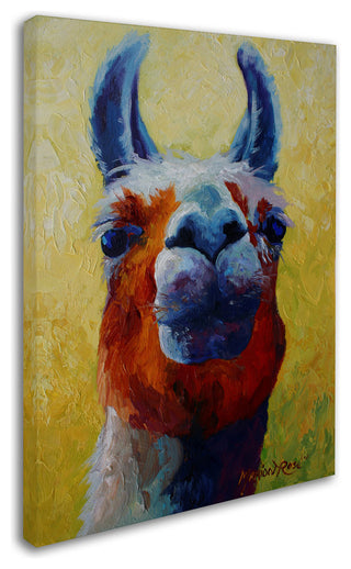 Marion Rose 'Llama I' Canvas Art, 47 x 35