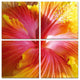 Modrest Hibiscus 4-Panel Photo on Canvas