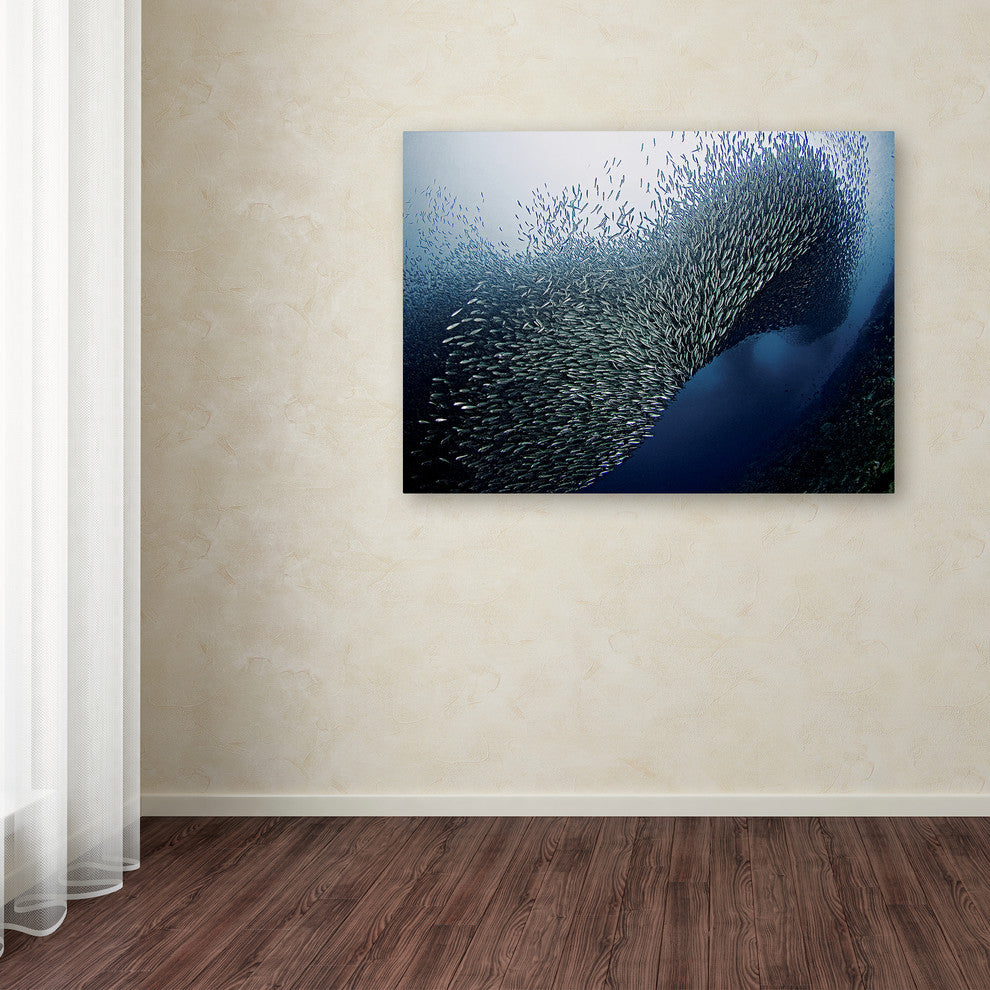 Henry Jager 'Sardines Tornado' Canvas Art, 32x24