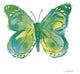 "Birdsong Garden Butterfly I on White" Paper Print by Shirley Novak, 26"x26"