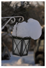 "The Weight of the Season" by Christine Sainte-Laudy, Canvas Art