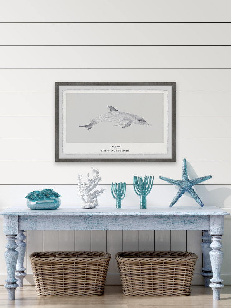 "Delphinus Delphis" Framed Painting Print, 30x20