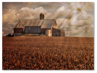 'Light for the Farm' Canvas Art by Lois Bryan