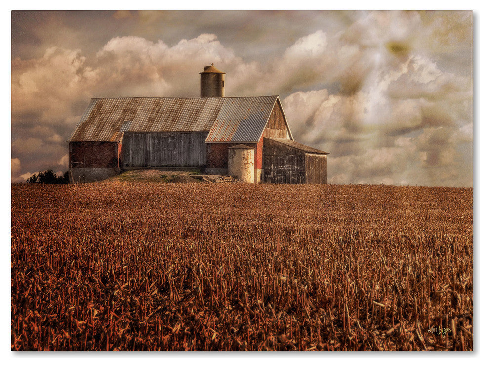 'Light for the Farm' Canvas Art by Lois Bryan