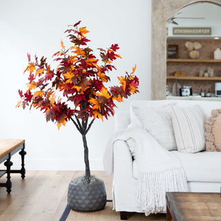 Lifestyle shot: tree placed in a real room setting with furniture visible.