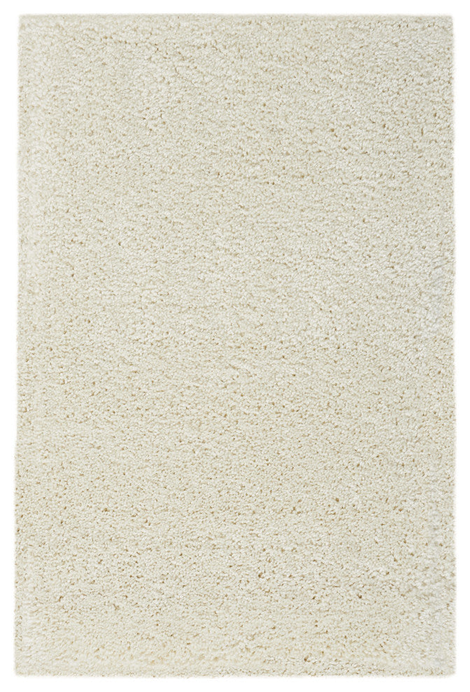 Nourison Malibu Shag 3'' x 5'' Ivory Shag Indoor Area Rug