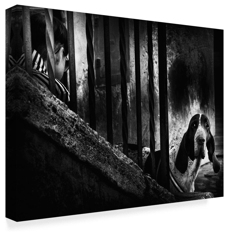 Antonio Grambone ''Curious Dog'' Canvas Art, 32"x24"