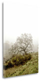 "Oak Tree - 43" By Alan Blaustein, Giclee Print on Gallery Wrap Canvas