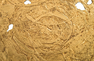 Molten Disc Wall Art, Gold Leaf, Large