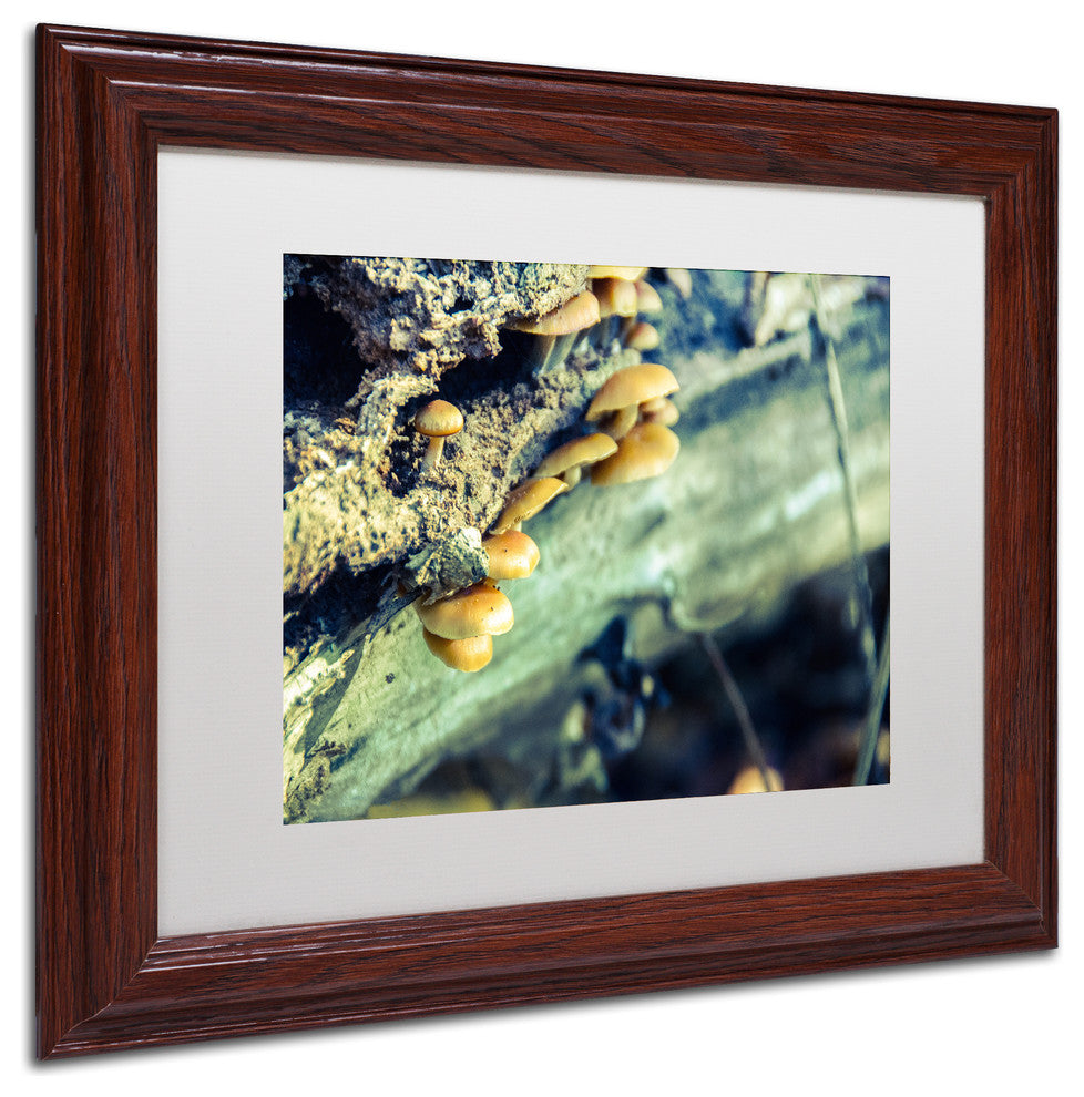 PIPA Fine Art 'Aged Mushroom' Matted Framed Art, 14x11