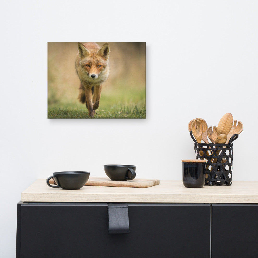 Young Female Red Fox In Forest Animal Wildlife Photograph Canvas Wall Art Print, 12" X 16"